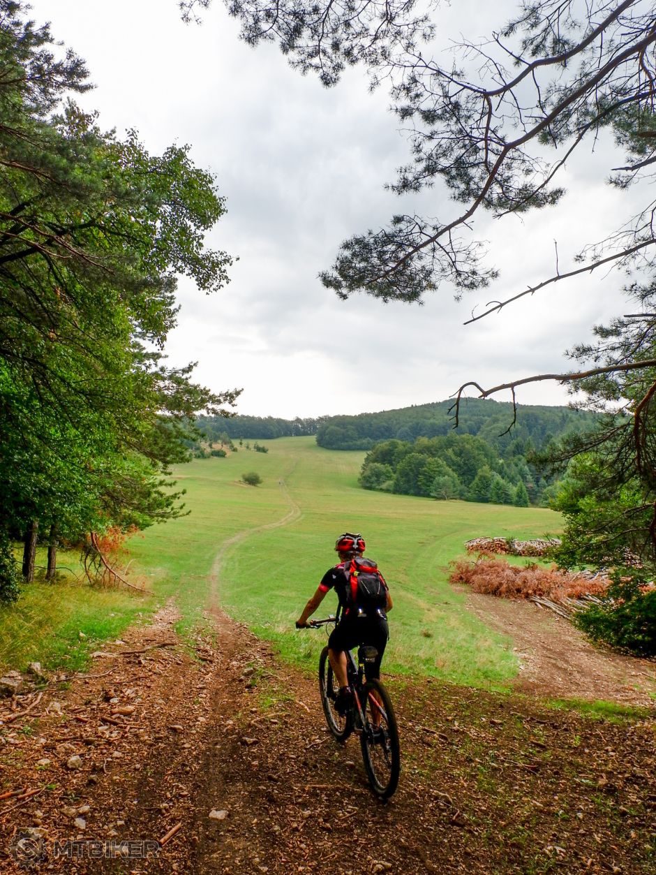 20190825_09-51-28_1-150 sec at f - 9,0_ISO 200_24 mm_KYKL3373.jpg