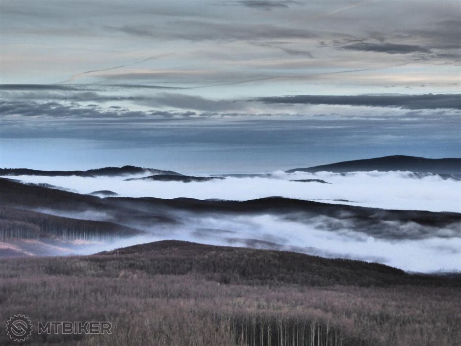 P1010304 (Large).JPG