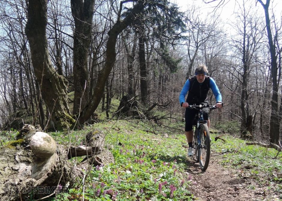 _KE05_cez-repy_160411 410.JPG