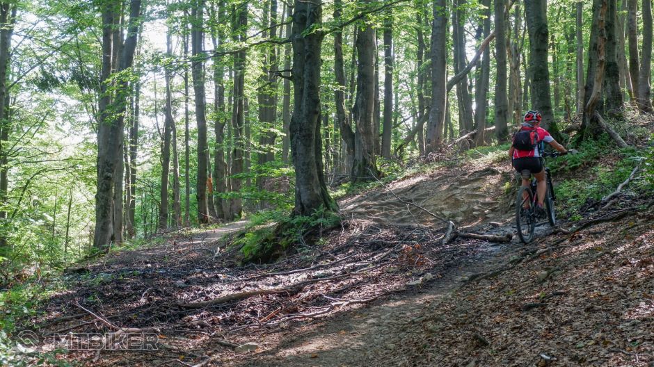 20190831_11-40-52_1-60 sec at f - 5,3_ISO 640_60 mm_VLRC6211.jpg