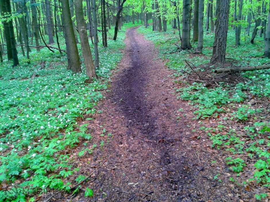 1-2015-05-10 17.26.18.jpg