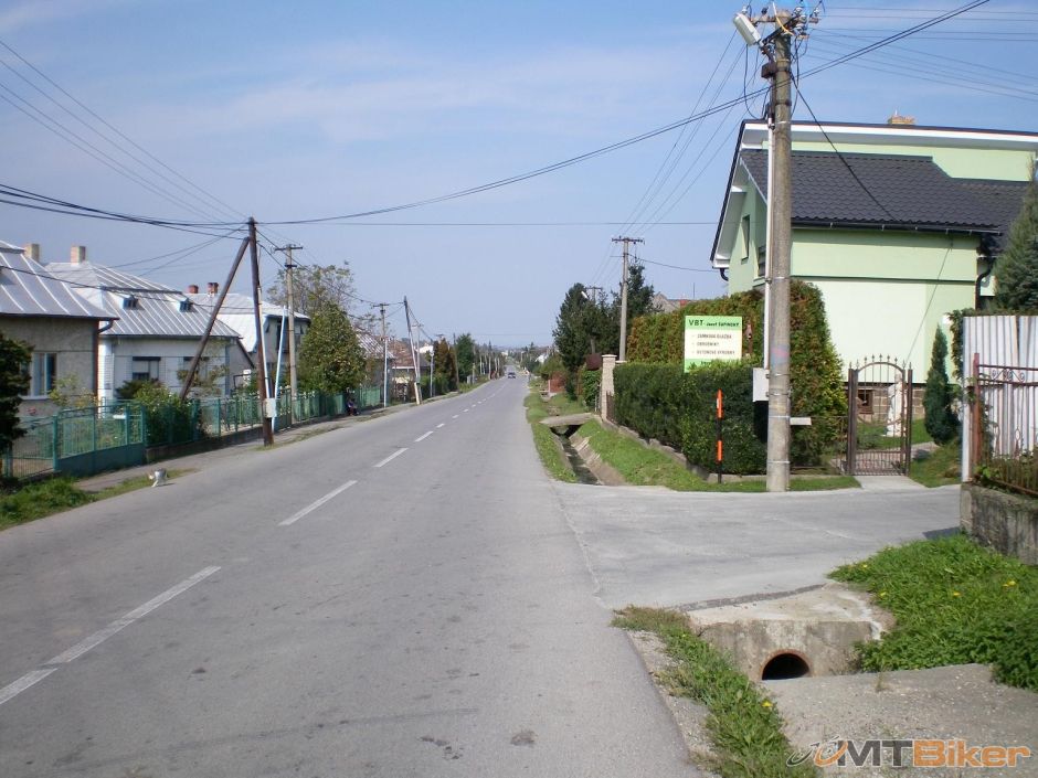 tvarovane stromceky vo dvoroch ale psiska vsade tak dnes som uz neriskoval.JPG