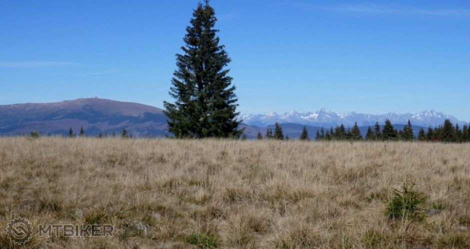 -stolica22 369ru2.JPG