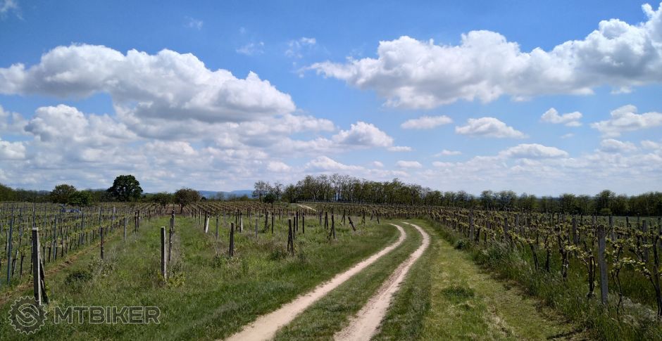 IMG_20210516_142931 (2).jpg