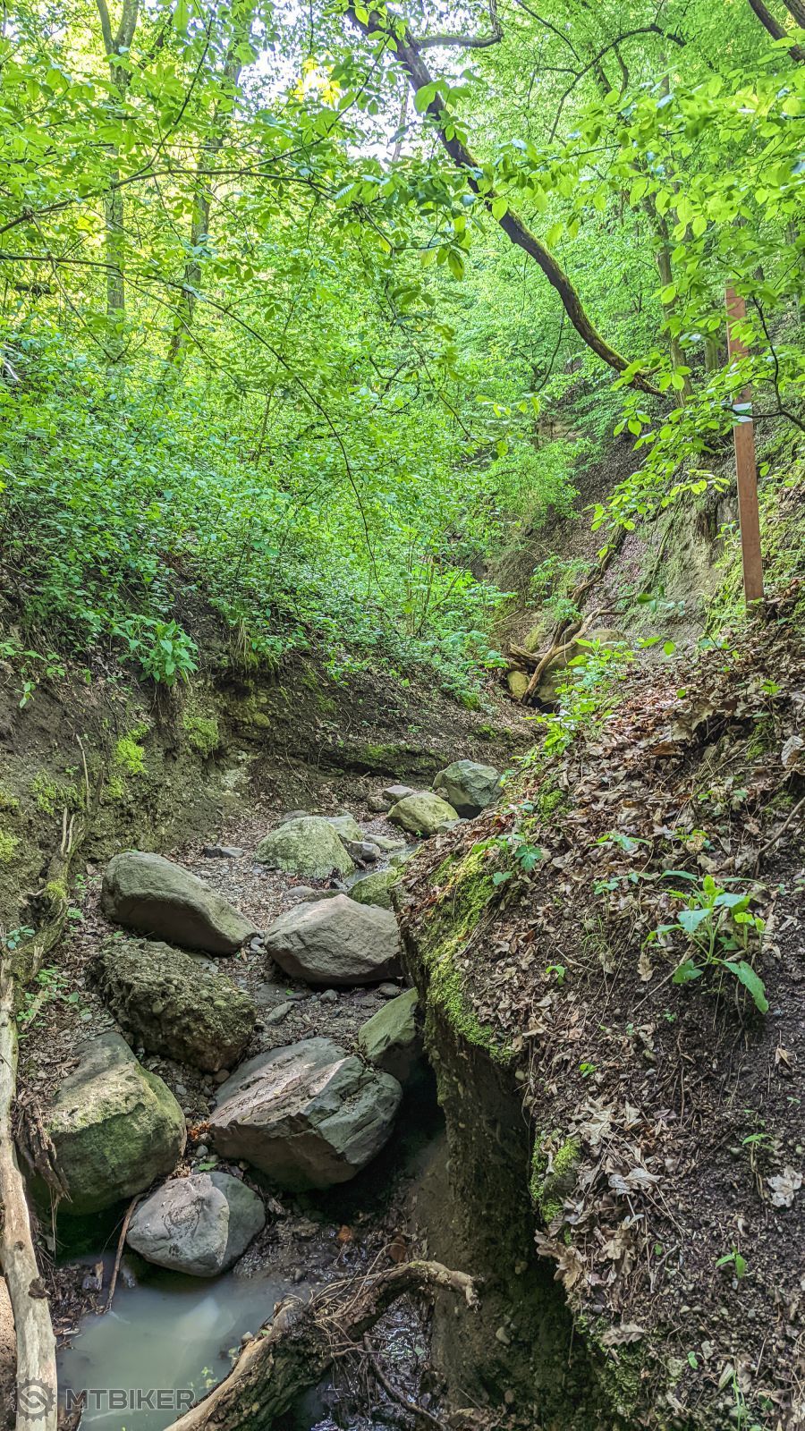 Kibib_17042024_103623898 Xiaomi-64-68.jpg