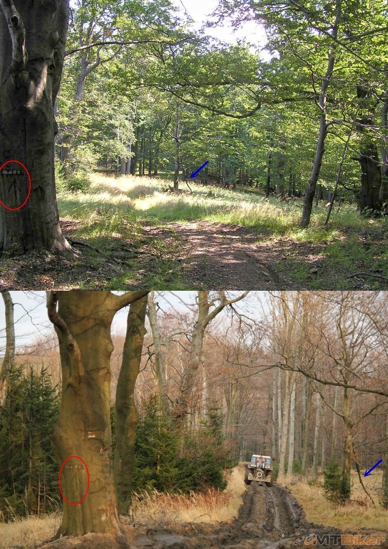 inovec_rozjazdena cesta1.jpg