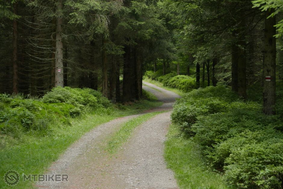 rychlebske hory (2).JPG