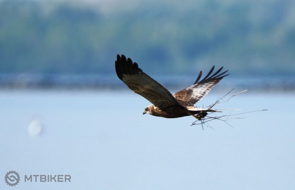 IMG_3393 - kópia.JPG