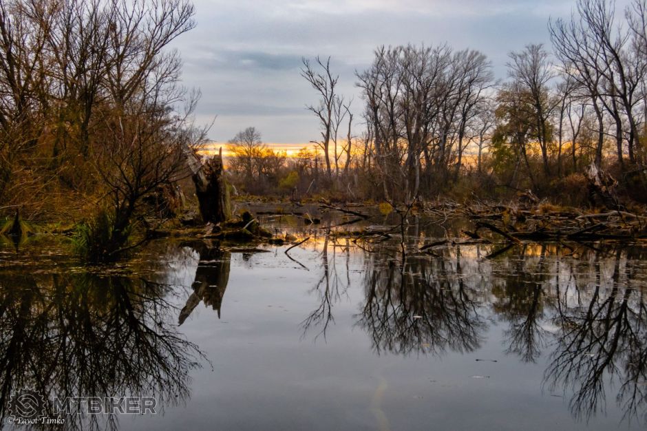 Malý Dunaj Potôň 008.jpg