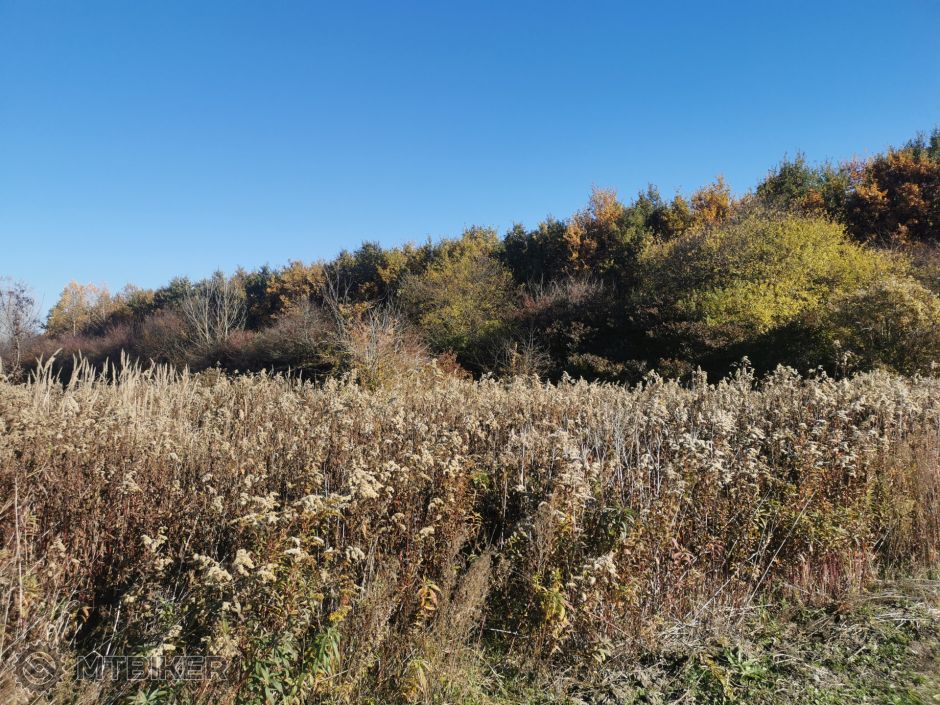 Foto 06112021 (13).jpg