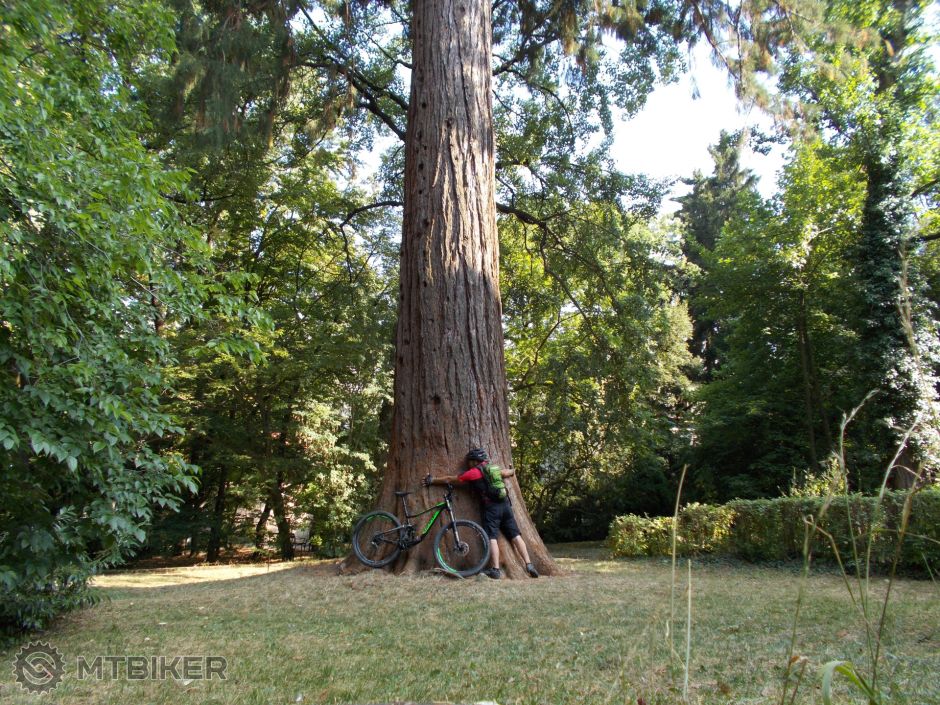 stiavnica 18 135.JPG