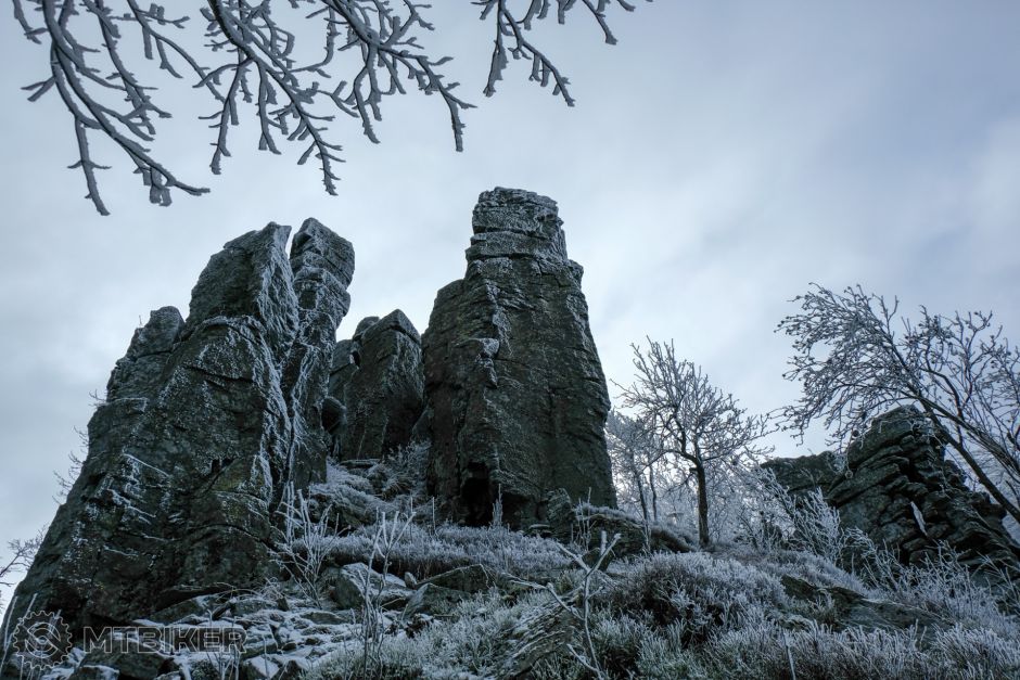 20201226_11-57-38_1-950s_F5,6_ISO 200_24 9575.jpg