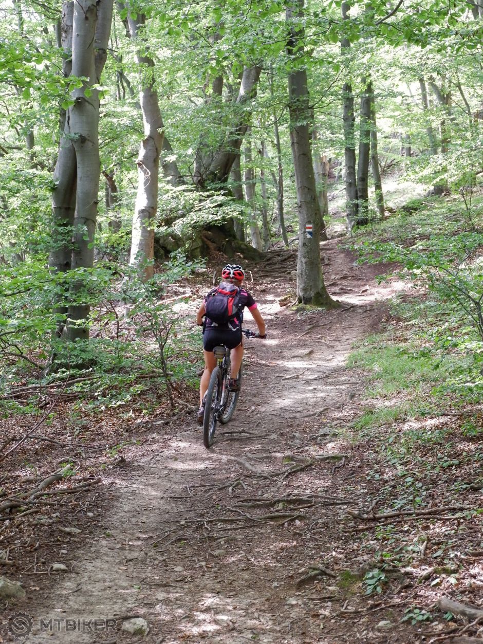 20190825_13-36-51_1-200 sec at f - 5,3_ISO 1600_60 mm_KYKL3884.jpg