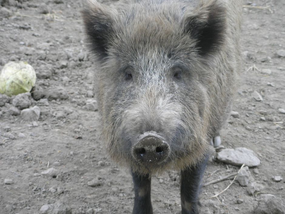 bike s jardom 012.JPG