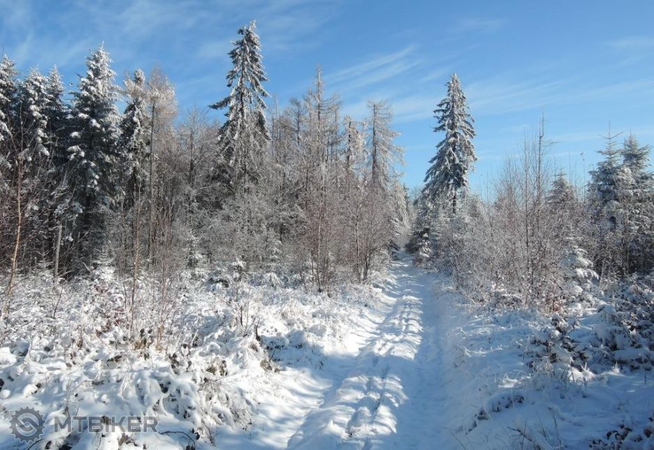 _hylaj_11nov 099.JPG