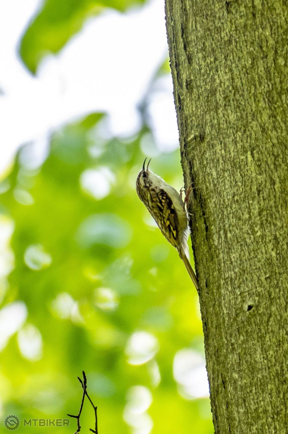 Andrej Tabak 21.5.2023 - 007.jpg
