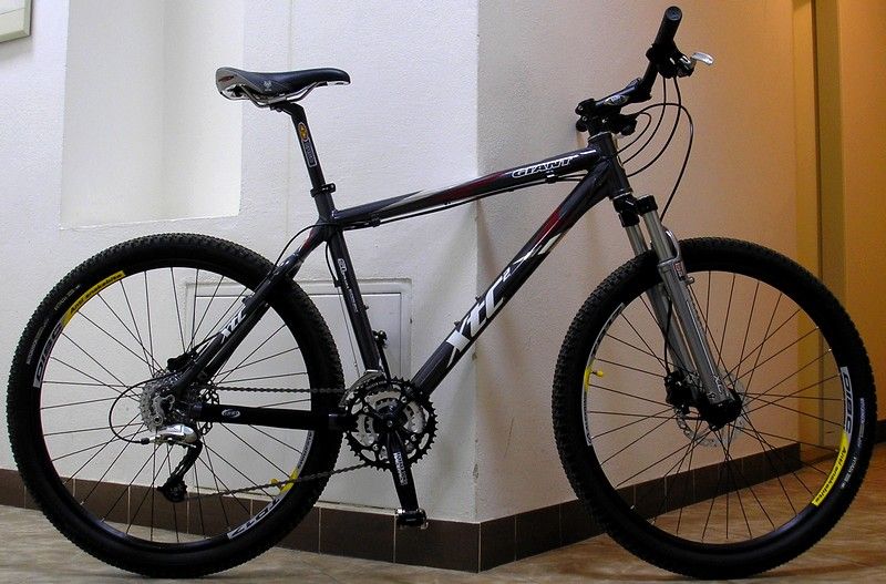 Giant XTC.jpg