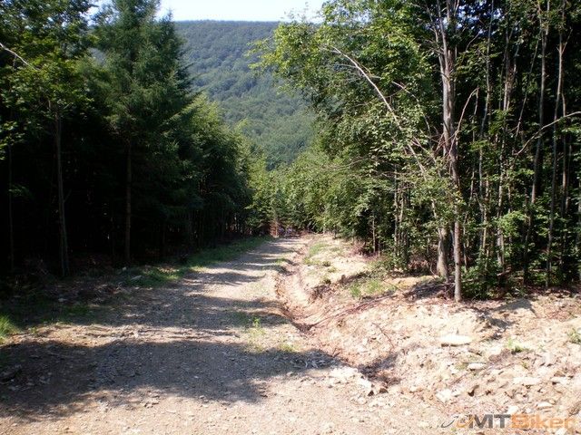 nabuduce uz budem vediet kade.jpg