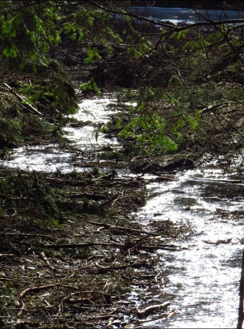 bandicam 2016-03-24 13-21-15-953.jpg