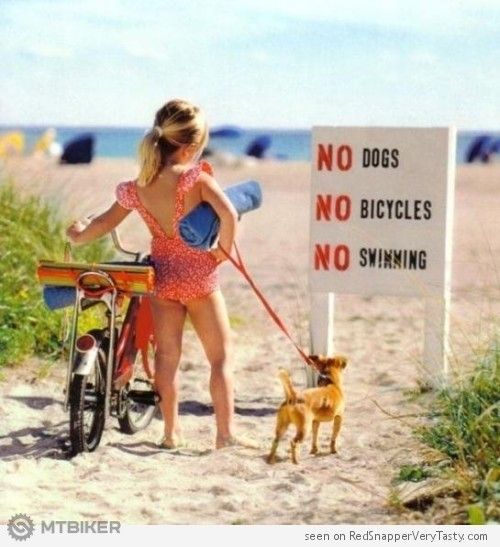 beach-sign-no-dogs-bicycles-swimming-500x547.jpg