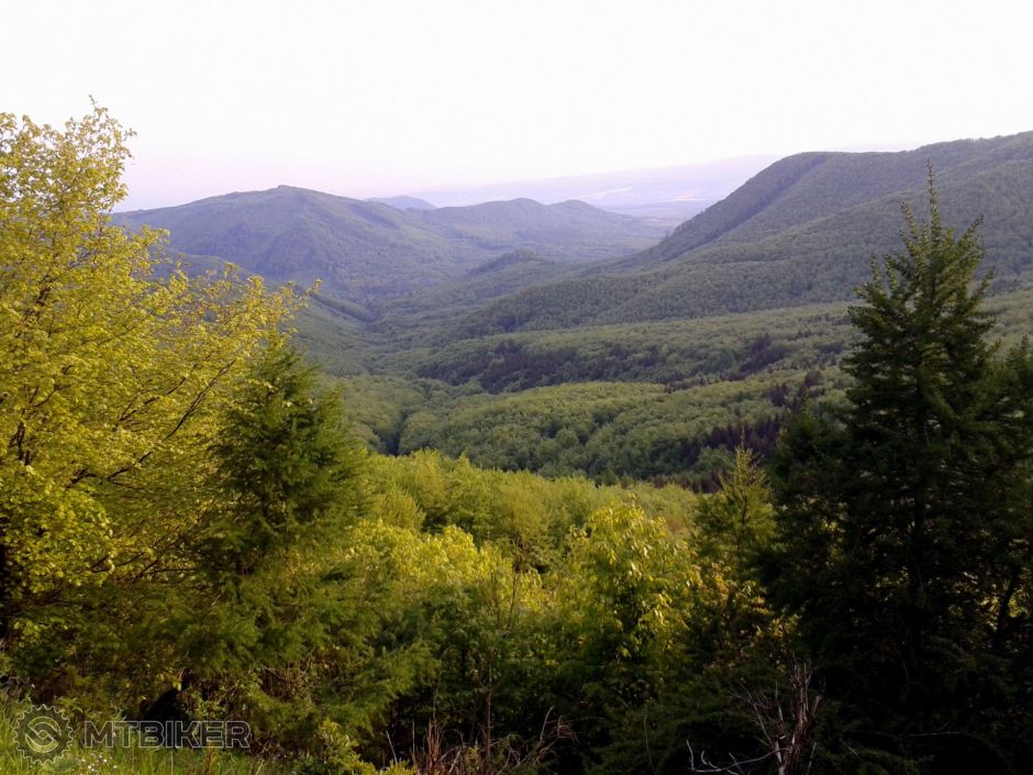 1-2015-05-15 18.52.48.jpg