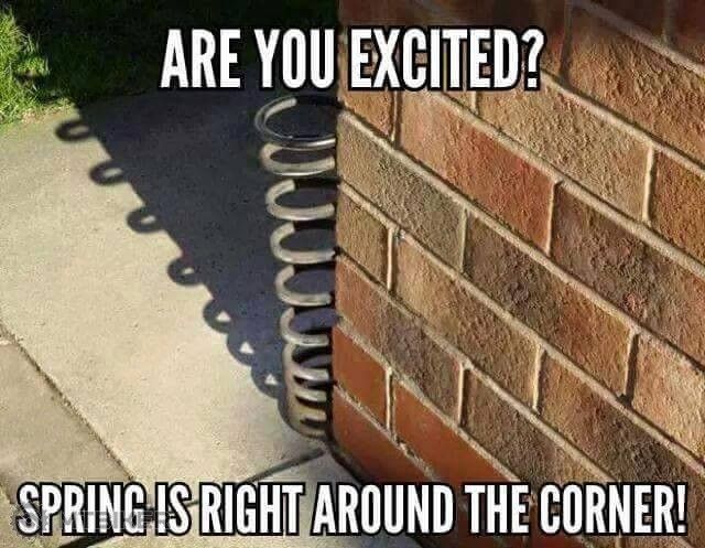 spring is coming.jpg