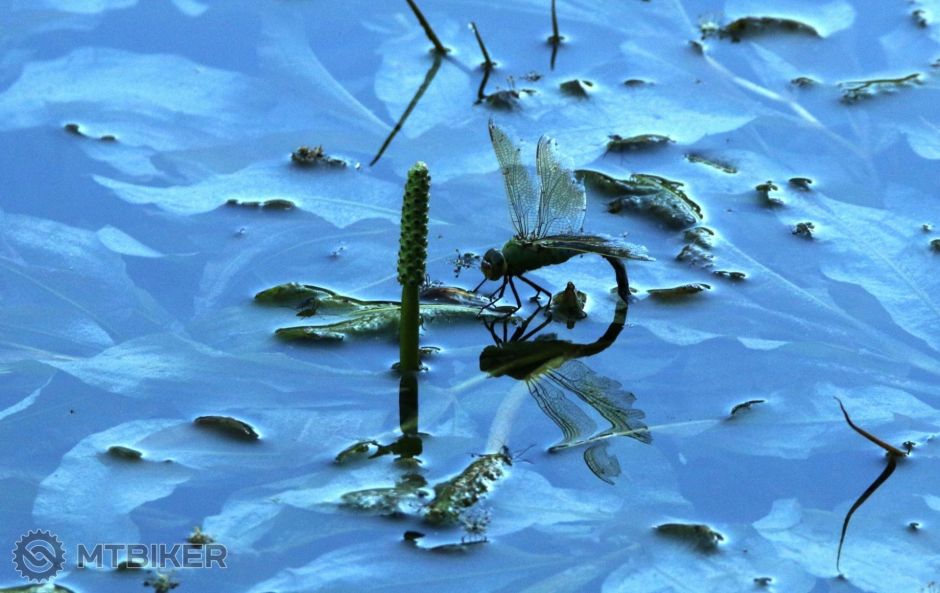 IMG_6147 - kópia.JPG