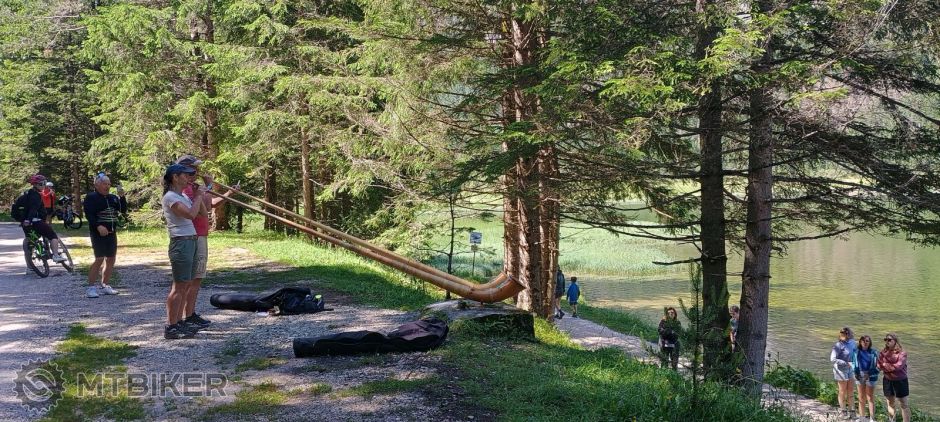 fujary made in italy.jpg