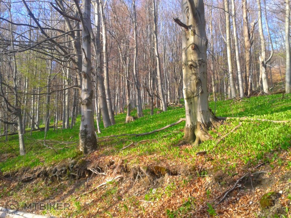 2017-04-16 18.14.52.jpg