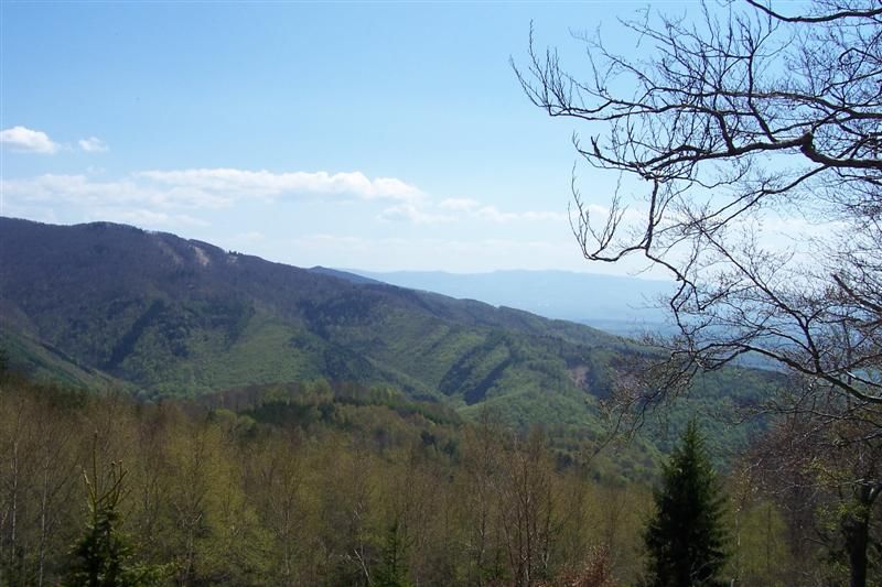 Snímek 024 (Medium).jpg