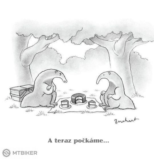 Mravčiar a torta.jpg