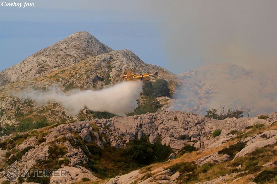 20170825 245 hasia small.jpg