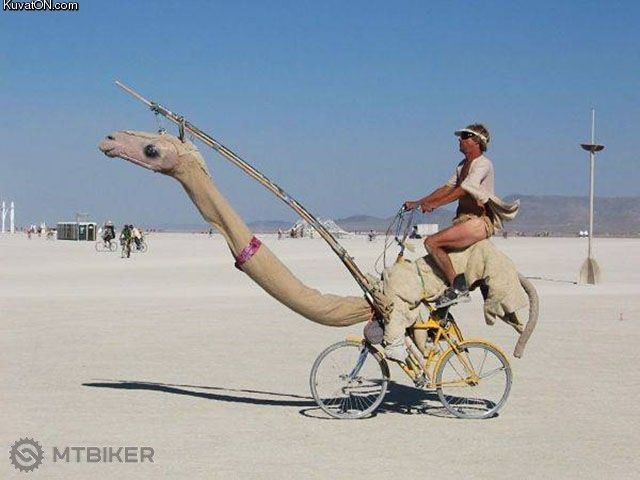 camelbajk.jpg