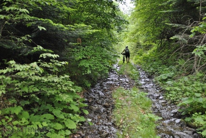 _DSC0207 (800x536).jpg