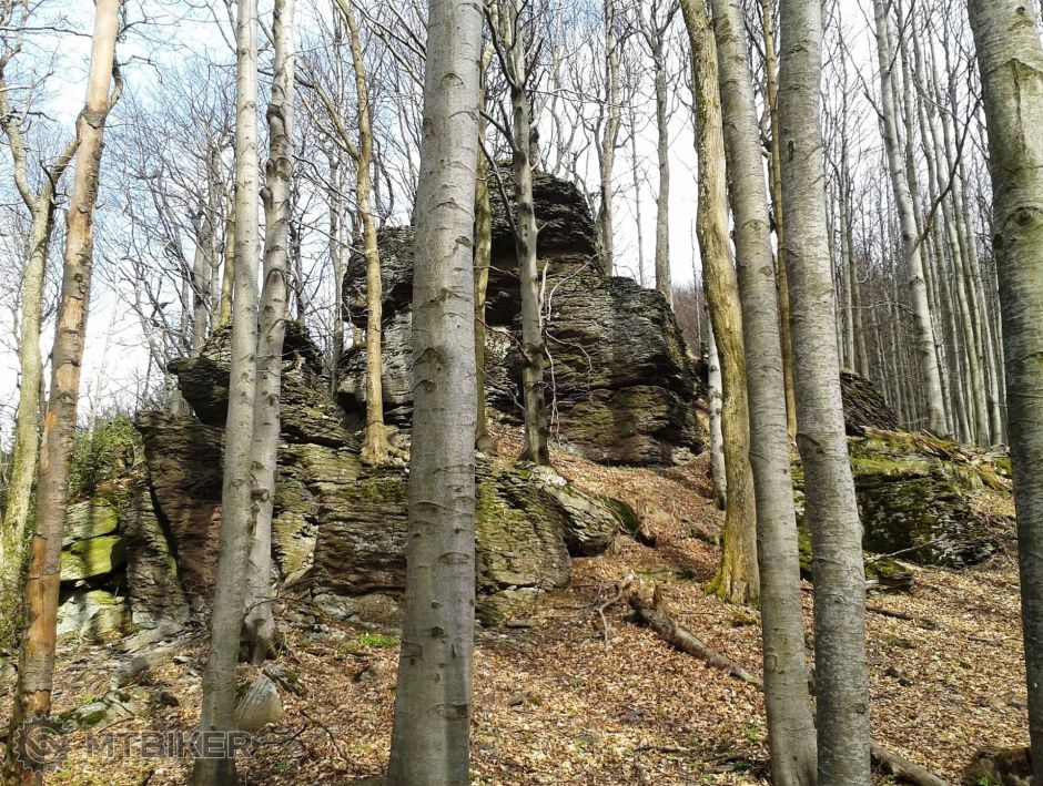 2014-04-21 15.08.19.jpg