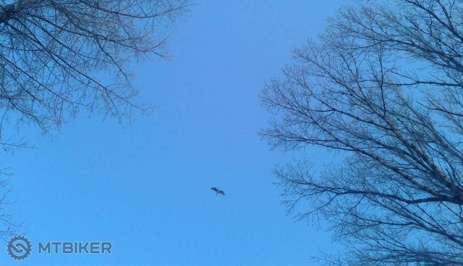 Fotografia-0590 (2).jpg