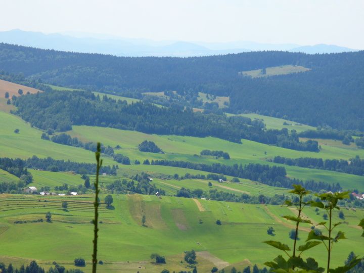 Poľana 033.jpg