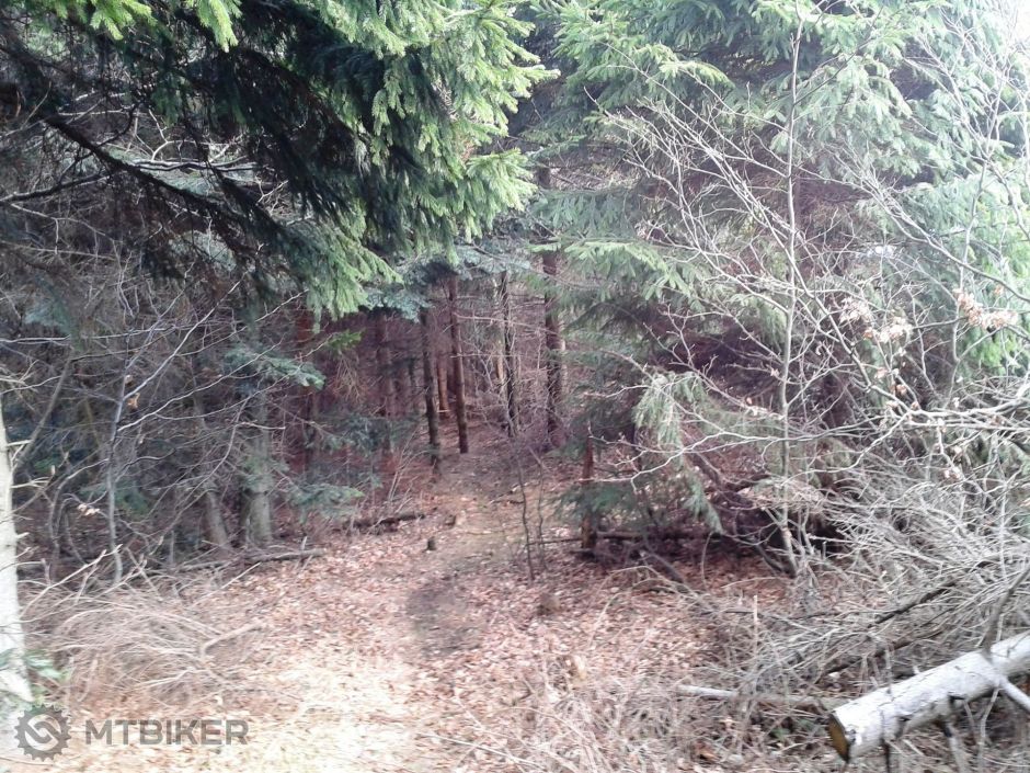 2014-03-23 14.44.07.jpg