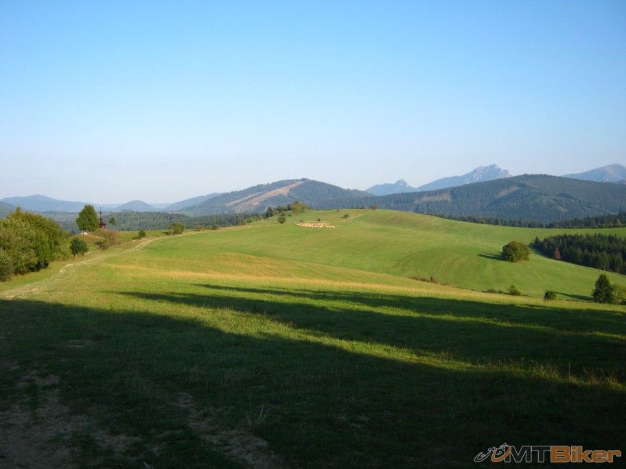 Ovečkýýý reduk.jpg