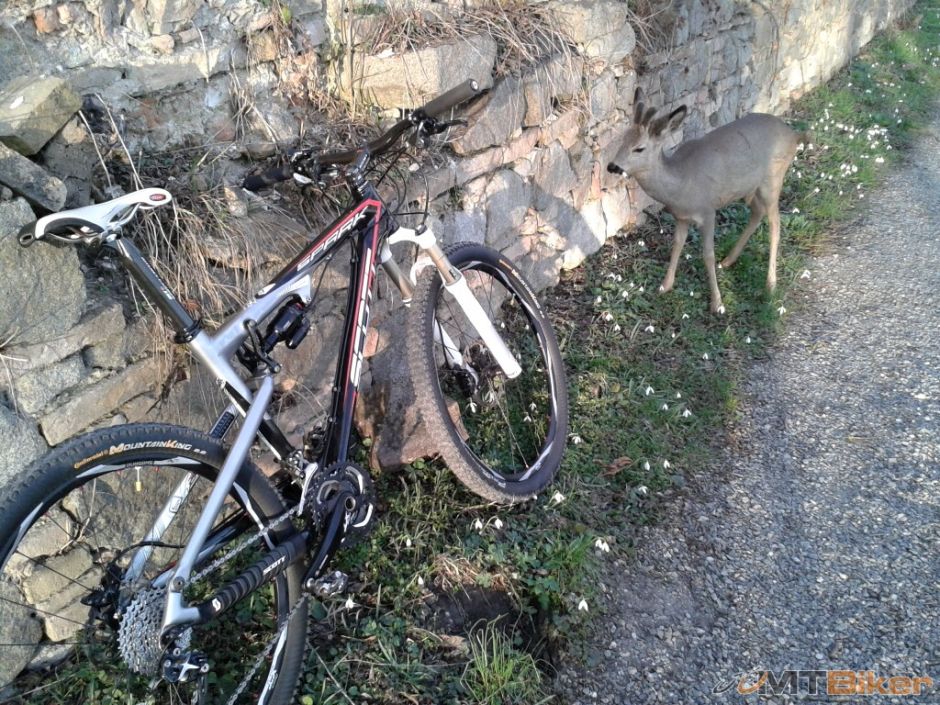 2013-03-07 17.01.09.jpg