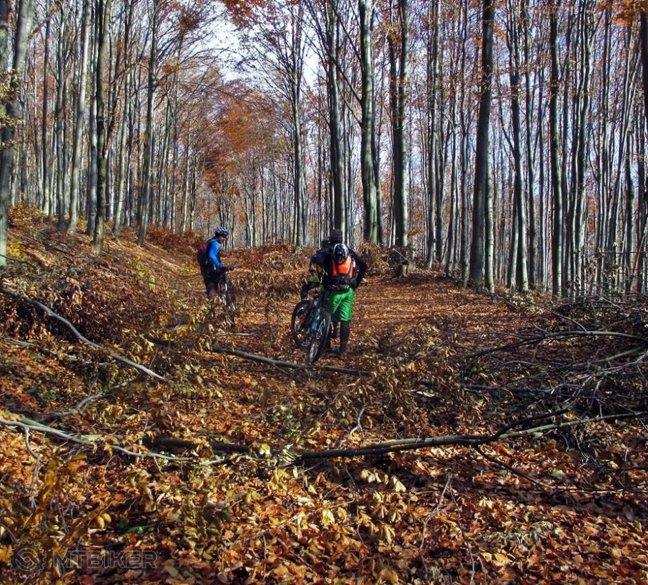 14875116_1369801916377136_365304698_n (2).jpg