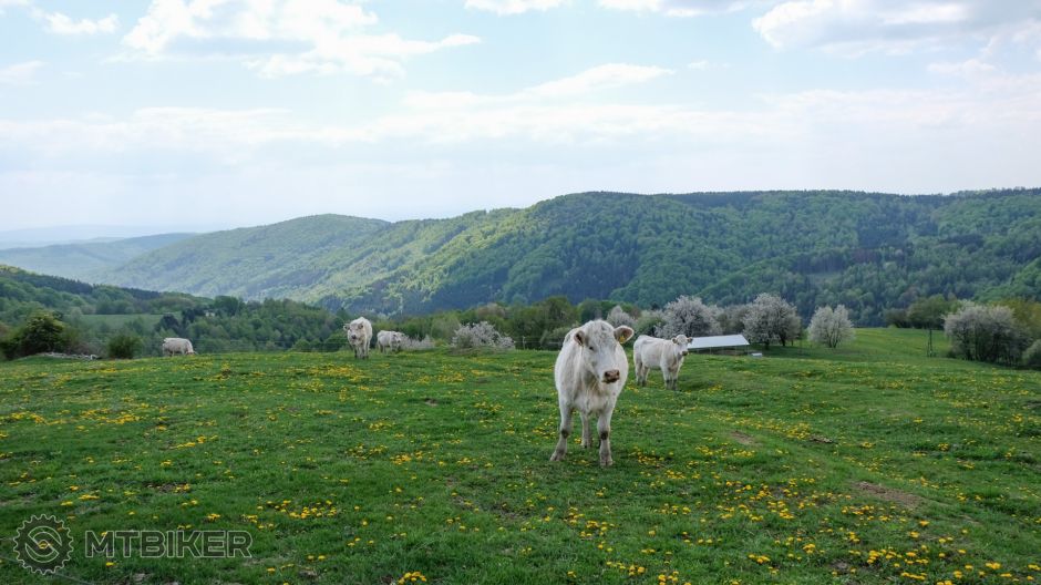 20190501_11-28-17_1-600 sec at f - 5,6_ISO 200_24 mm_DSCF9565.jpg
