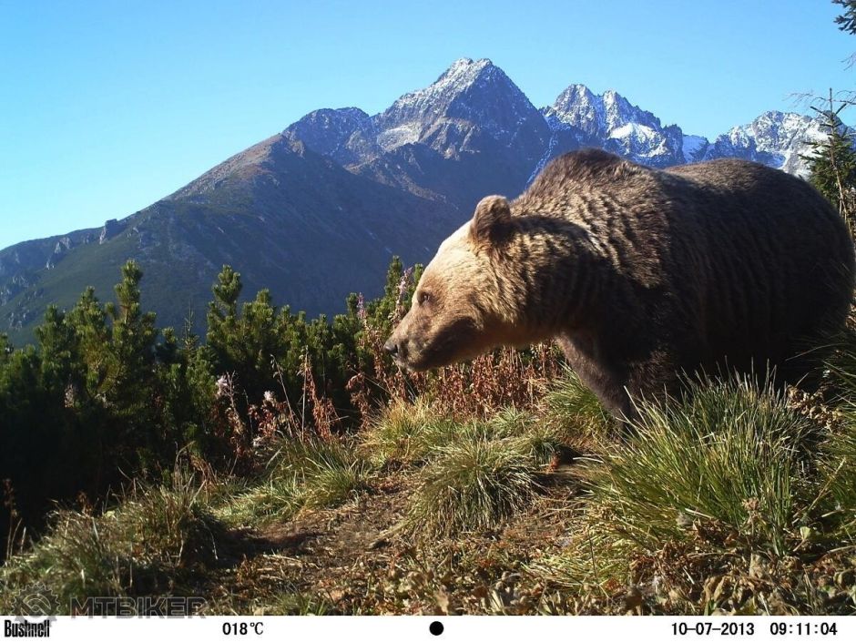 1425396_727256293973884_1389504460_o (1).jpg