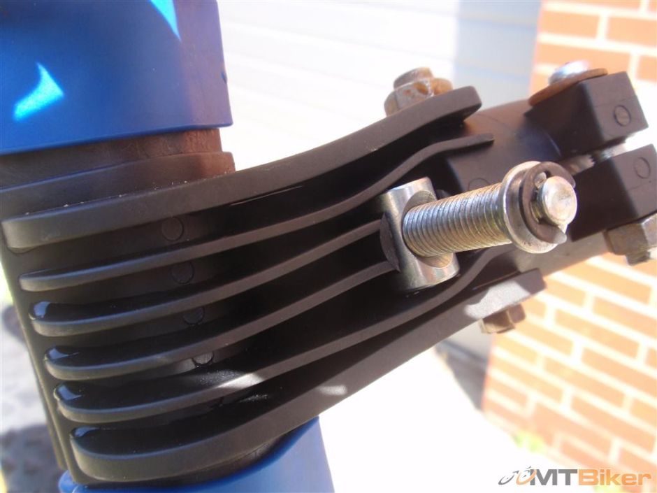 P8260041 (Medium).JPG