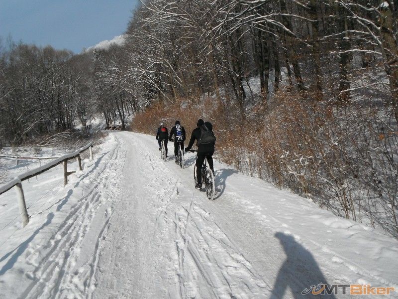 DSCF5875 (800x600).jpg