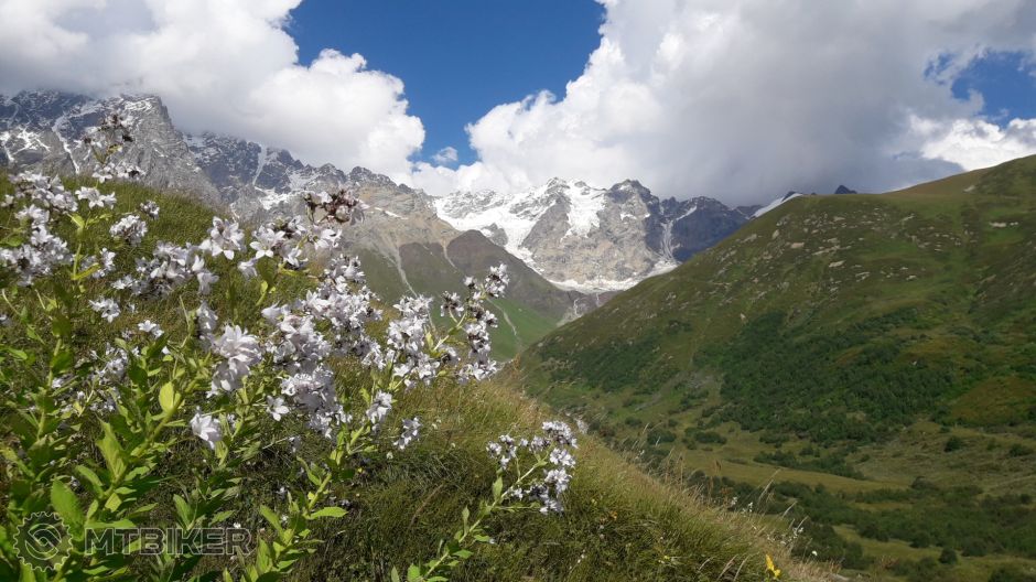 062 Kaukaz a jeho flora.jpg