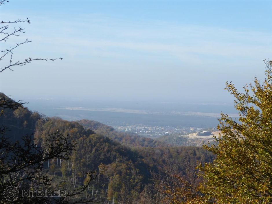 P1000762 (Large).JPG