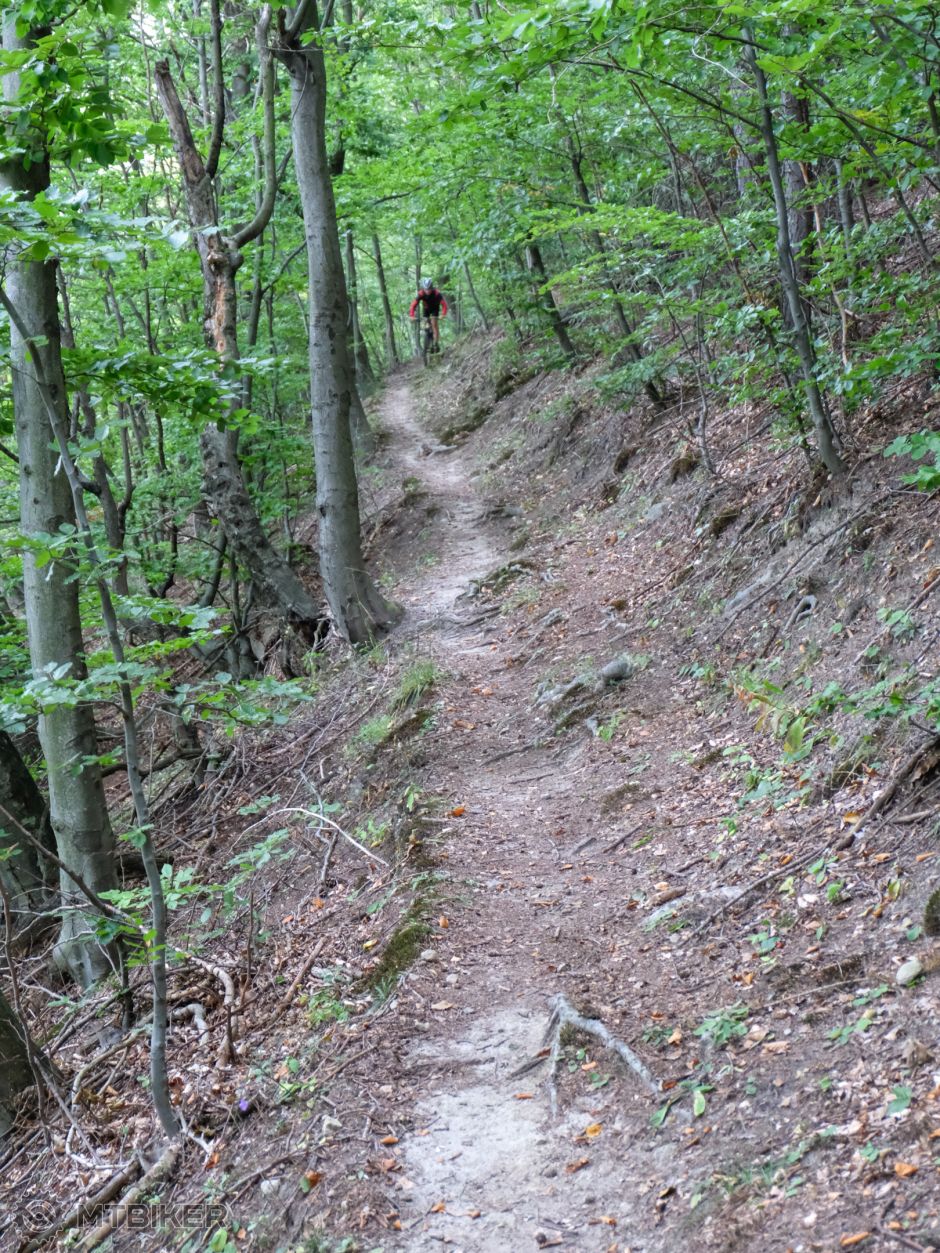 20200925_15-04-59_1-20s_F5,6_ISO 3200_63 5196.jpg