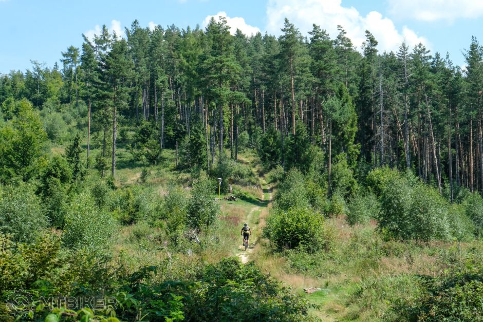 20210814_12-46-49_1-400s_F5,6_ISO 200_60_0966.jpg