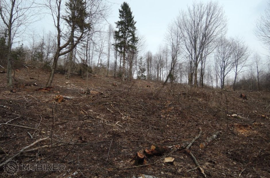 _kobylia_17mar 218.JPG